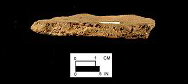 Sullivan Cove sherd cross-section showing paste with holes where the shell temper leached out, from the Hallowing Point site 18CV31/2.